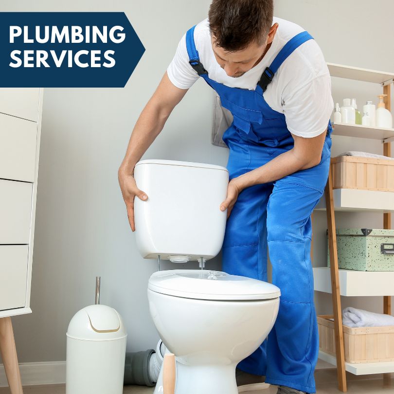 Plumbing Company in Millerton, IA